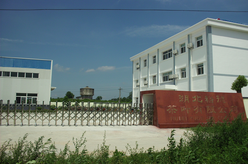红安有机茶园基地工厂